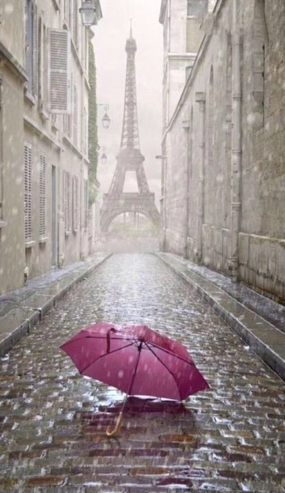 巴黎的雨
