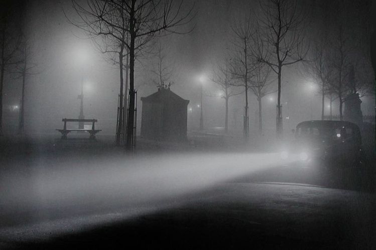 雾/Le brouillard
