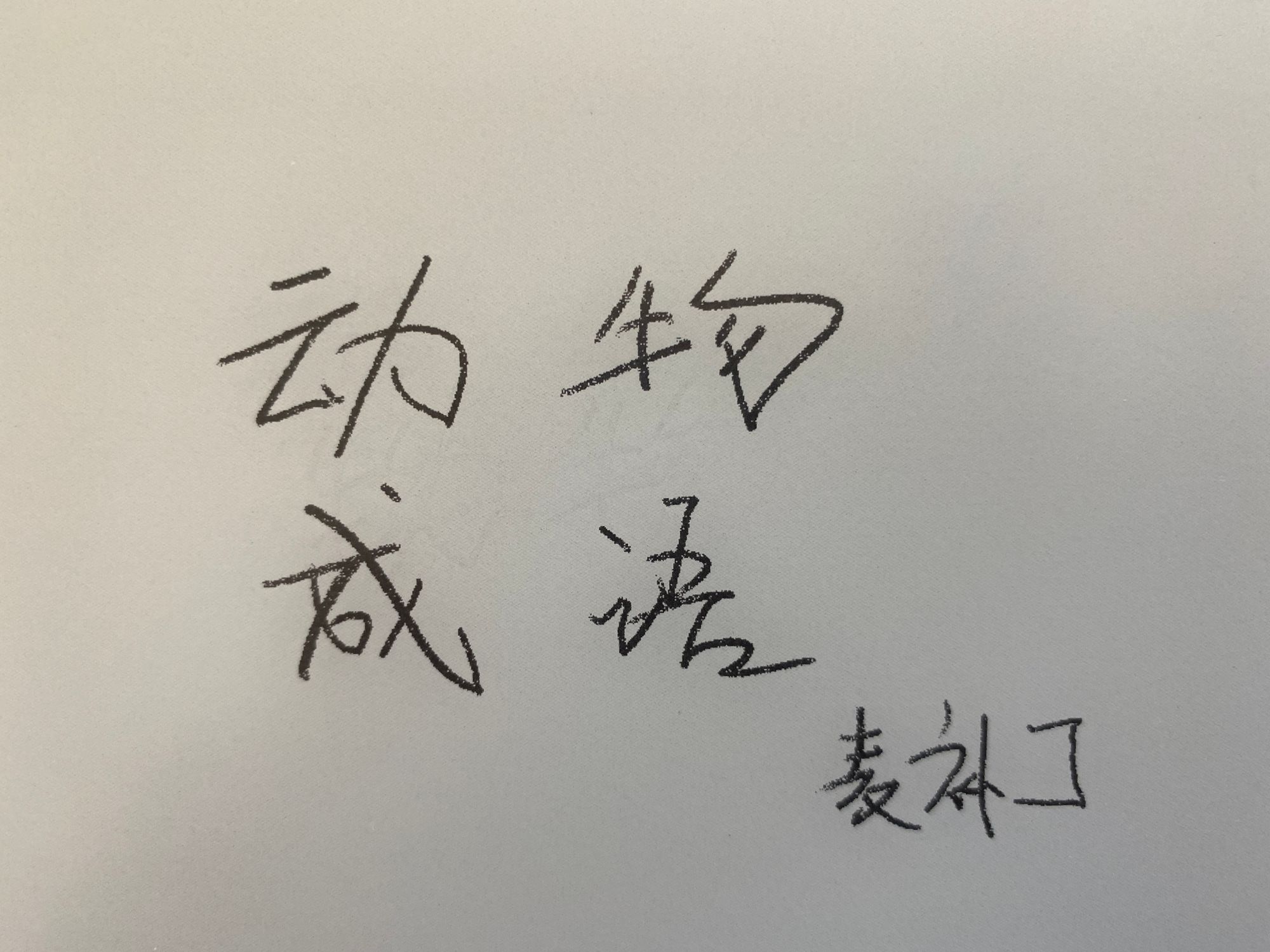 Les Cheng Yu Chinois avec des animaux