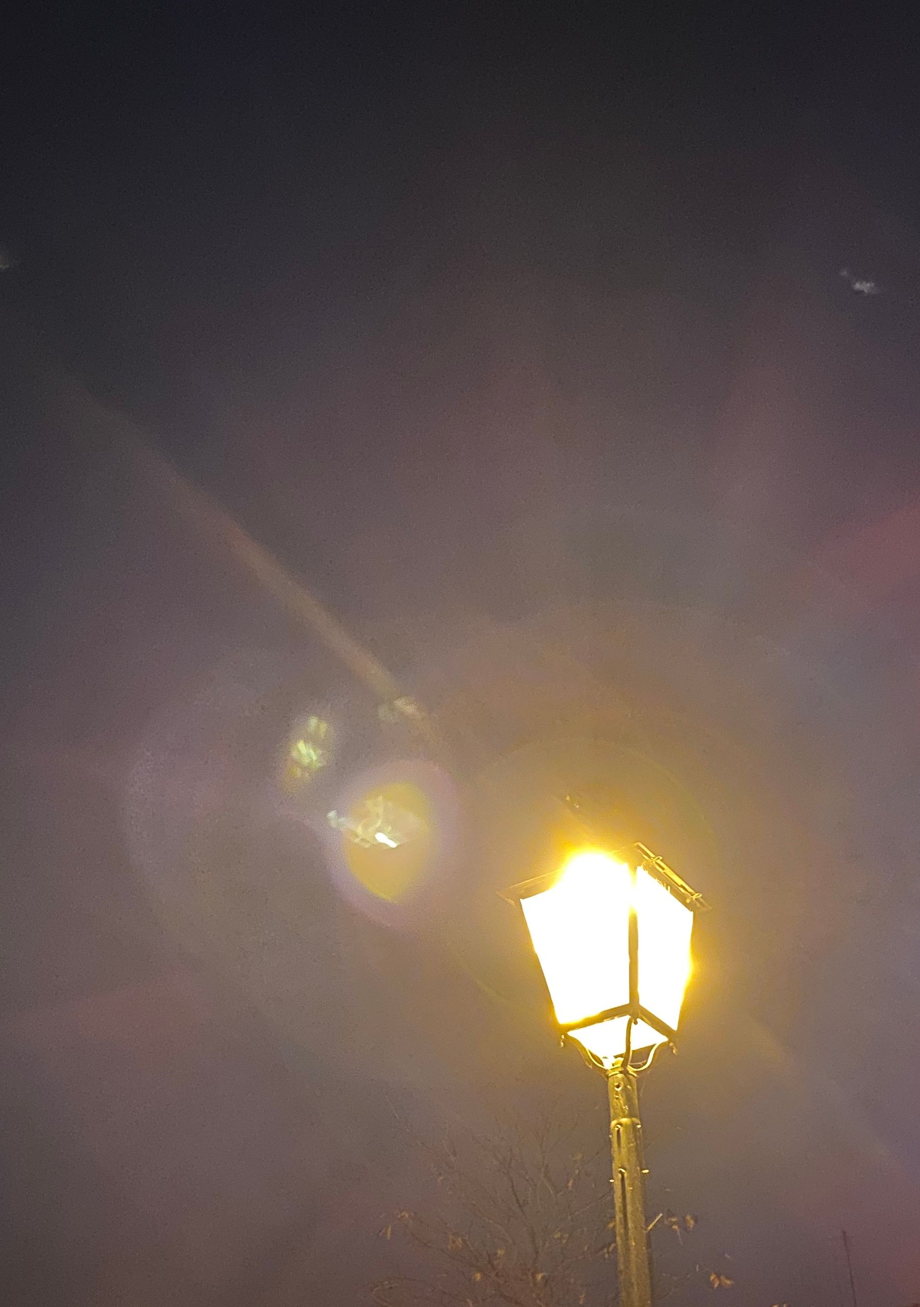 夜獨舞