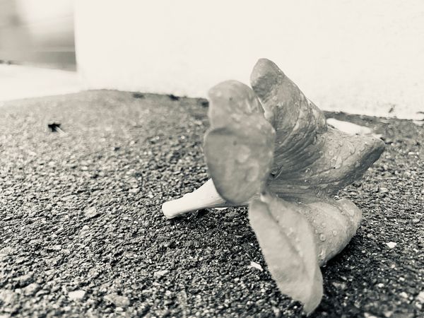 簡單特別想你