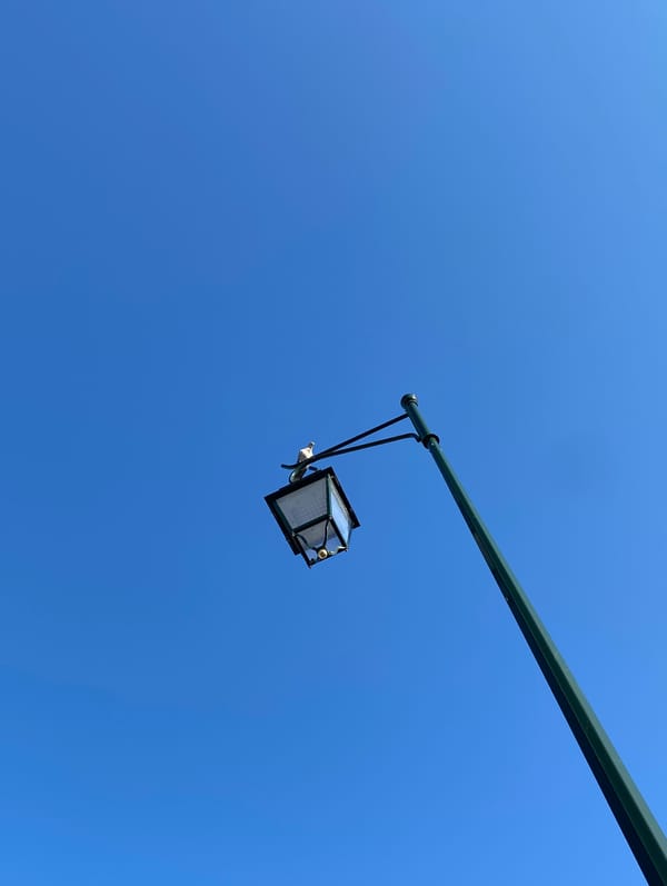 求知